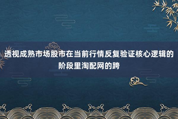 透视成熟市场股市在当前行情反复验证核心逻辑的阶段里淘配网的跨